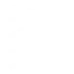 flag-checkered-w